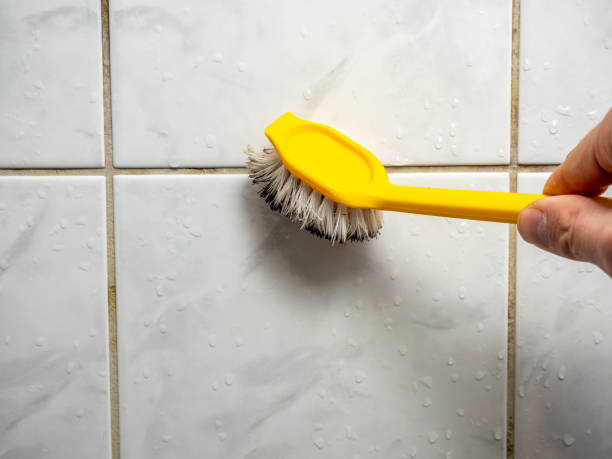 Best Kitchen Mold Remediation in Twinsburg, OH